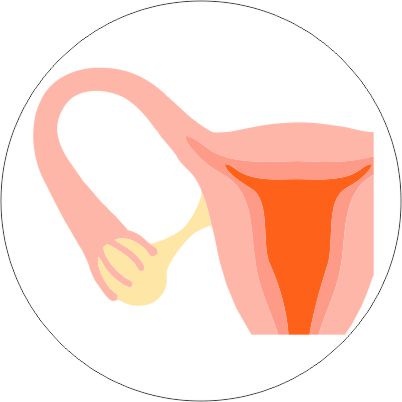 Stimulating your ovaries